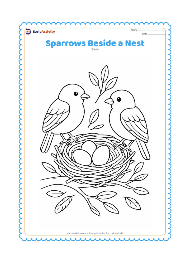 Colouring page: Two sparrows stand on either side of a nest containing three eggs on a tree branch. Add a few feathers, twigs and leaves around the nest.