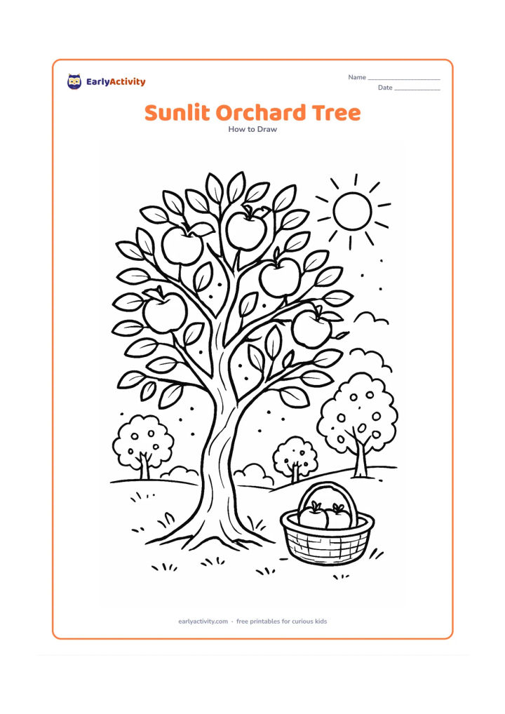 Worksheet: Show a fruit tree with a twisting trunk, branches that split into smaller limbs, clusters of leaves and several apples. Add dappled sunlight, a basket on the ground and two more orchard…