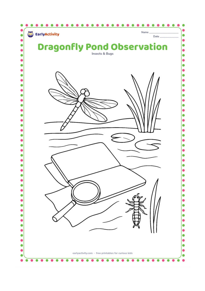 Colouring page: A dragonfly hovers beside a pond while a child's simple observation scene includes a hand lens on a cloth, a sketchbook with blank pages, reeds, lily pads, and a nymph visible…
