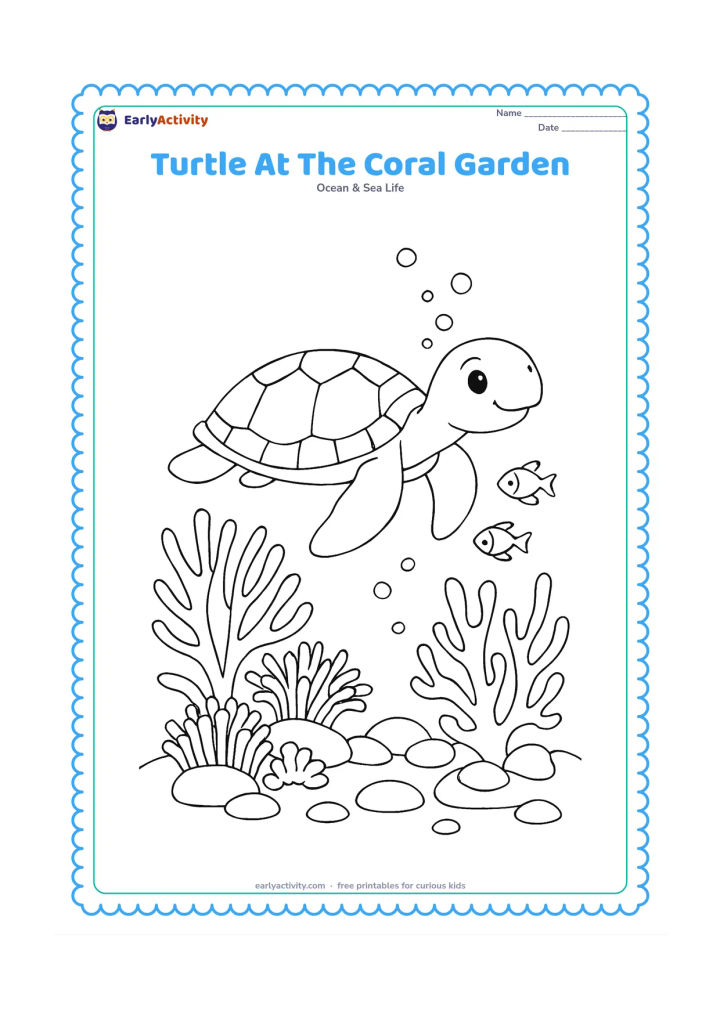 Colouring page: Draw a sea turtle resting above a coral garden with fan coral, sea anemones, rounded stones, small fish, and rising bubbles.