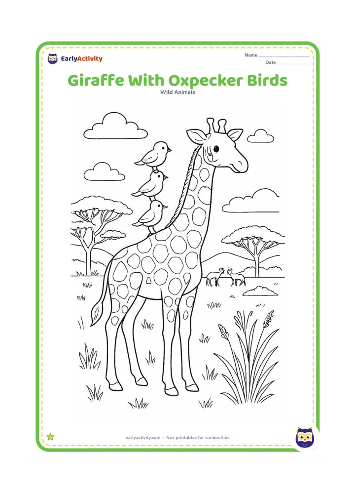 Colouring page: A giraffe stands peacefully while small friendly birds perch on its back and neck. Set the scene in a detailed savanna with acacia branches, grasses, seed heads, clouds and distant animals.