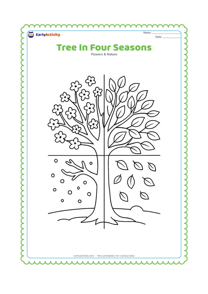 Colouring page: Draw one central tree divided into four seasonal sections: blossoms, full green leaves, falling leaves, and bare branches with snow. Add a simple ground line in each section without…