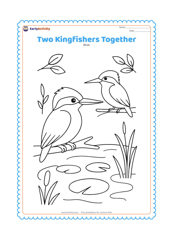 Colouring page: Two kingfishers sit on separate branches facing one another above a pond, with one bird larger in the foreground and the other farther back. Add lily pads, reeds and a few leaves.