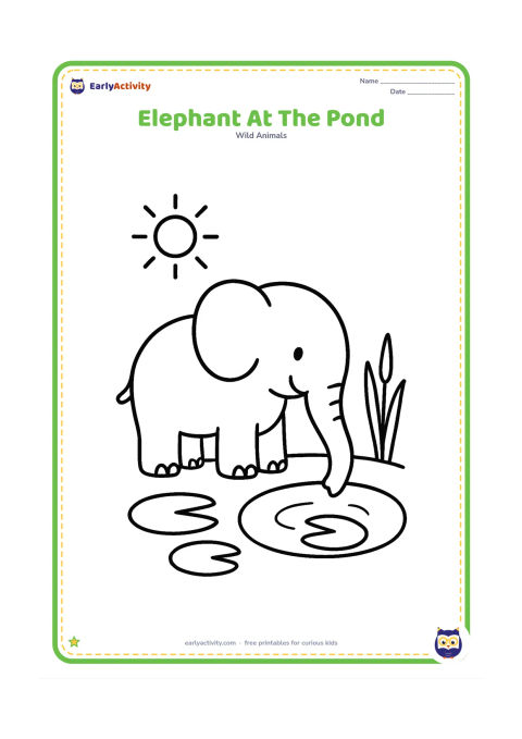 Colouring page: Draw a smiling elephant standing beside a small pond with its trunk dipping toward the water. Include two lily pads, a few reeds and a sun in the open sky.
