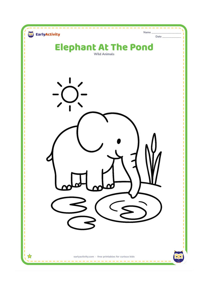 Colouring page: Draw a smiling elephant standing beside a small pond with its trunk dipping toward the water. Include two lily pads, a few reeds and a sun in the open sky.