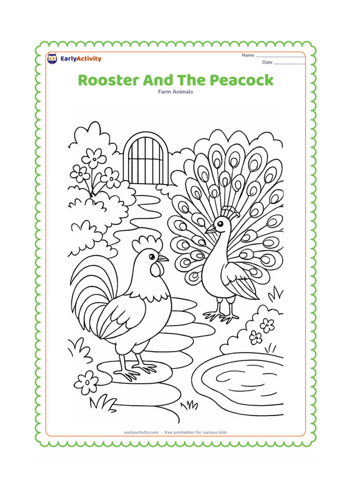 Colouring page: Draw a rooster standing beside a peacock in a landscaped farm garden. Include a stone path, flowering shrubs, a small pond and a simple arched gate in the background.