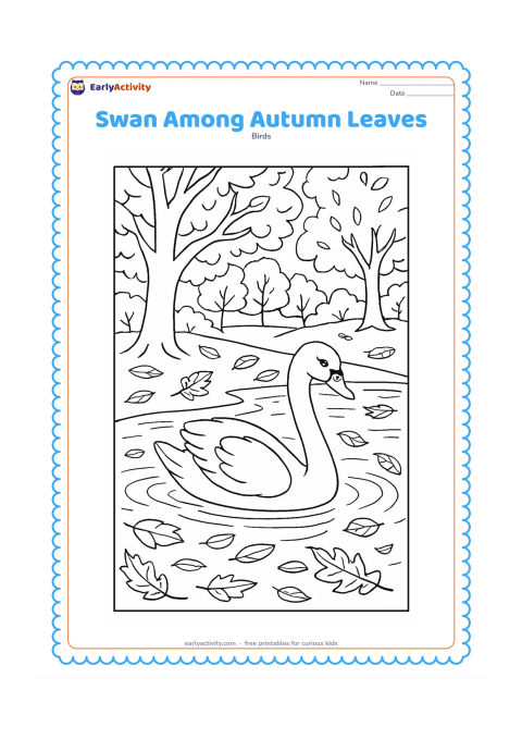 Colouring page: A swan swims beside a tree-lined pond in autumn, surrounded by fallen leaves on the bank and several leaves floating on the water. Add reflected branches and overlapping ripple patterns.