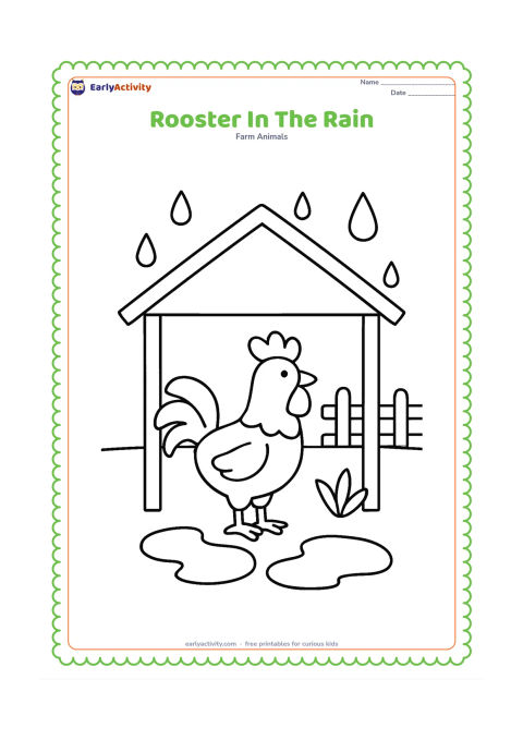 Colouring page: Draw a rooster standing under a simple farm shelter while large raindrops fall outside. Add a puddle, one leafy plant and a fence beyond the shelter.