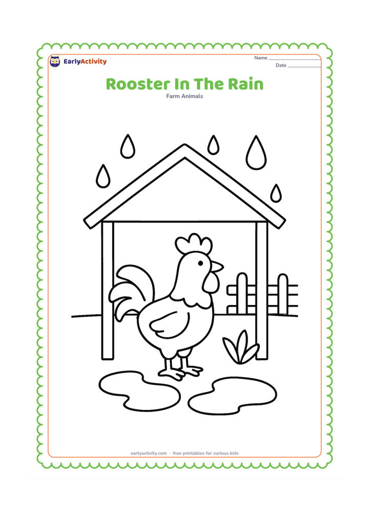 Colouring page: Draw a rooster standing under a simple farm shelter while large raindrops fall outside. Add a puddle, one leafy plant and a fence beyond the shelter.