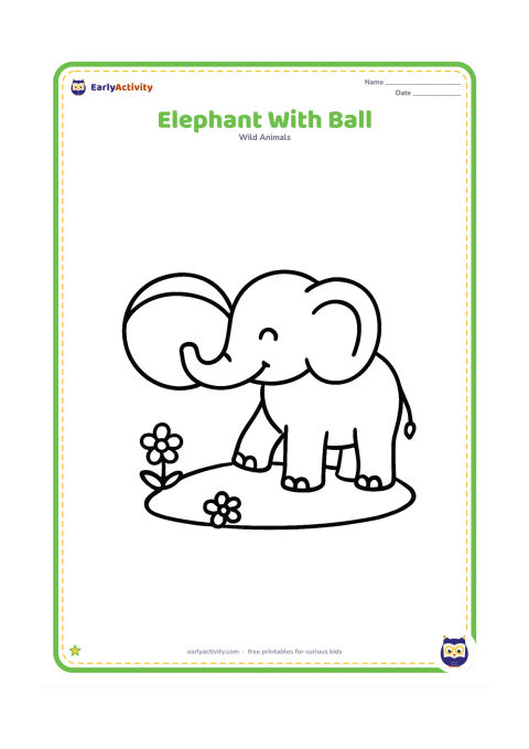 Colouring page: Draw a cheerful elephant gently touching a large round ball with the tip of its trunk. Place the elephant on a simple grassy patch with two small flowers.