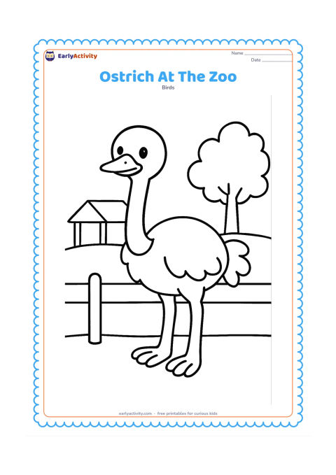 Colouring page: An ostrich stands behind a simple low wire fence in a zoo enclosure, with a small shelter, a tree and open ground behind it. Do not include signs or writing.