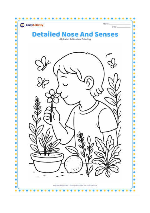 Colouring page: Draw a child exploring scents at a garden table, gently smelling a flower near a large clear side-profile nose. Include herbs, a citrus fruit, a small bowl, butterflies, and leafy plants.