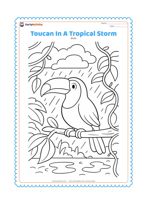 Colouring page: A toucan grips a sturdy branch as wind moves broad leaves and vines around it, with layered rain clouds, falling rain, puddles, and distant forest plants. The bird should look calm and…