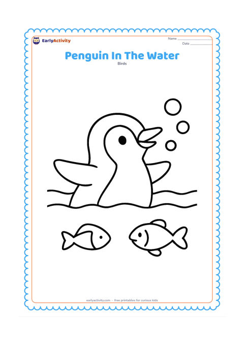 Colouring page: Draw a penguin swimming with its head and flippers above a wide, calm water shape. Add three large bubbles and one simple fish nearby.