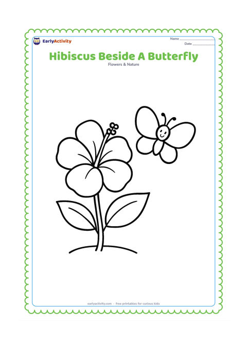 Colouring page: Draw one large hibiscus on a short stem beside one large, simple butterfly. Add two broad leaves and a small patch of ground.