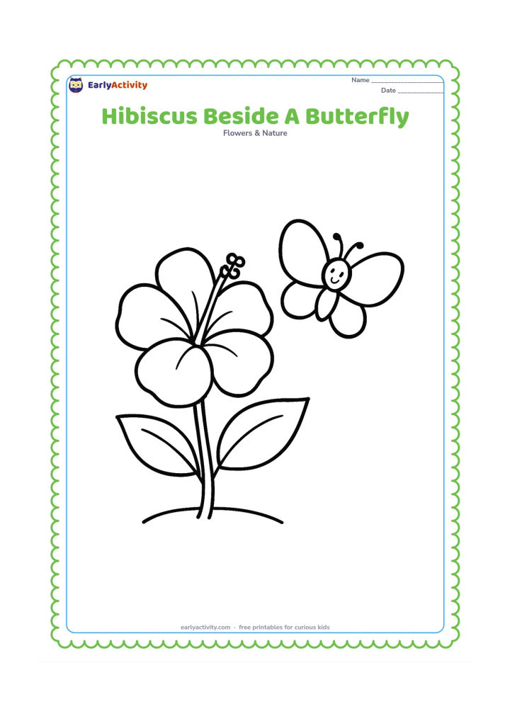 Colouring page: Draw one large hibiscus on a short stem beside one large, simple butterfly. Add two broad leaves and a small patch of ground.