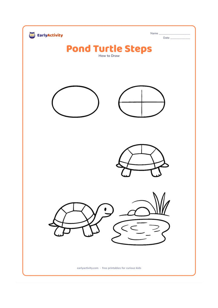 Worksheet: Arrange four connected drawing stages from an oval shell to a finished pond turtle standing on four short legs. Add a small pond, reeds and two stones in the final stage.