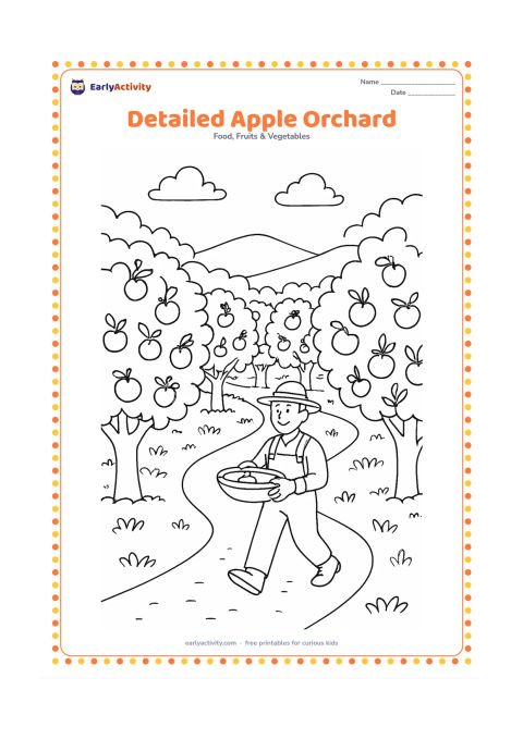 Colouring page: Draw a broad orchard scene with rows of apple trees, apples at different heights, a winding path and a farmer carrying a shallow picking basket. Include distant hills and a few clouds.