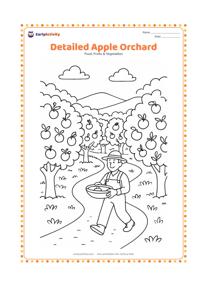 Colouring page: Draw a broad orchard scene with rows of apple trees, apples at different heights, a winding path and a farmer carrying a shallow picking basket. Include distant hills and a few clouds.