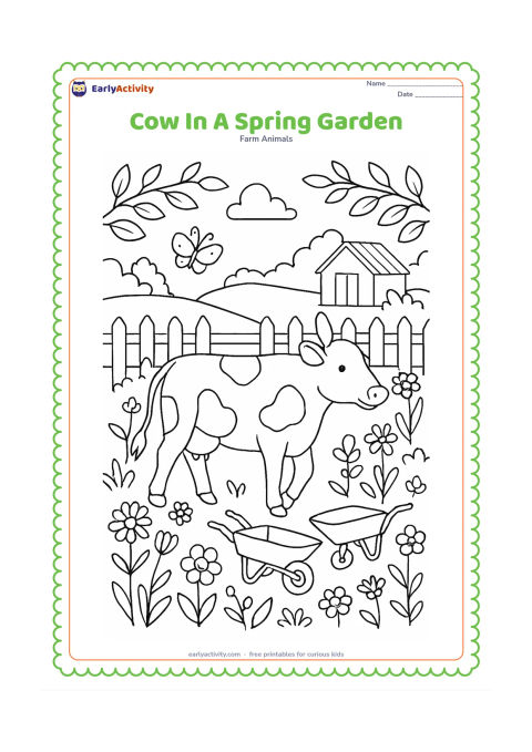 Colouring page: A cow walks through a spring farm garden bordered by flowering plants and a picket fence. Add a small wheelbarrow, butterflies, leafy branches, and a distant red-roofed shed.