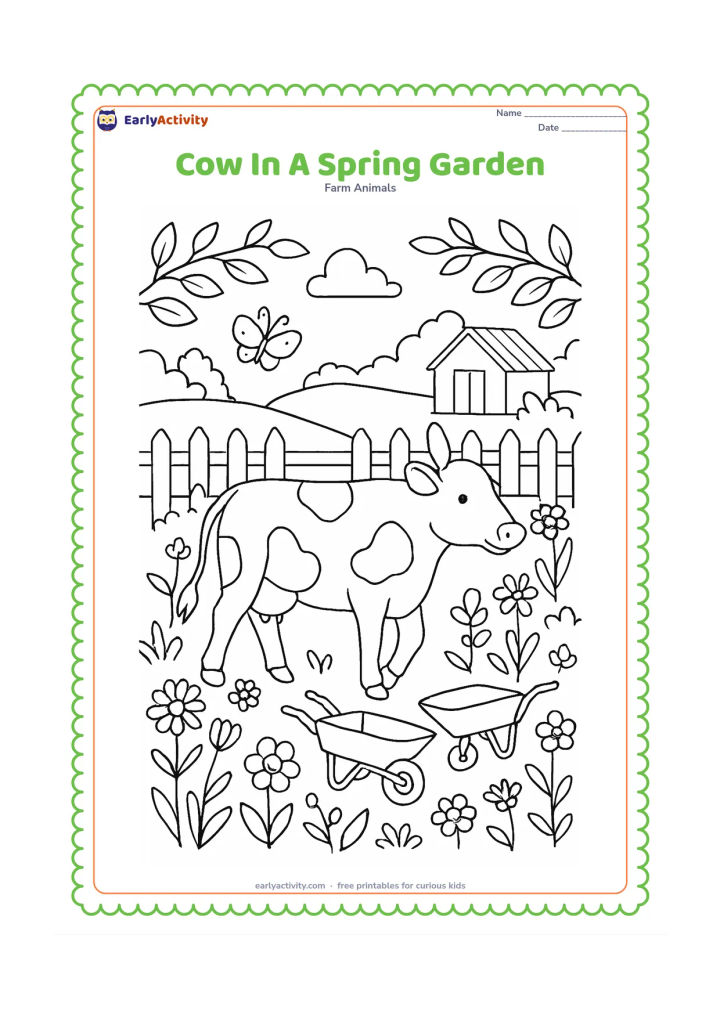 Colouring page: A cow walks through a spring farm garden bordered by flowering plants and a picket fence. Add a small wheelbarrow, butterflies, leafy branches, and a distant red-roofed shed.