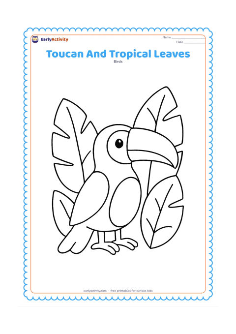 Colouring page: A cheerful toucan stands beside three oversized tropical leaves, with its bill pointing toward one leaf. Arrange the bird in the centre and use broad leaf shapes to frame both sides.