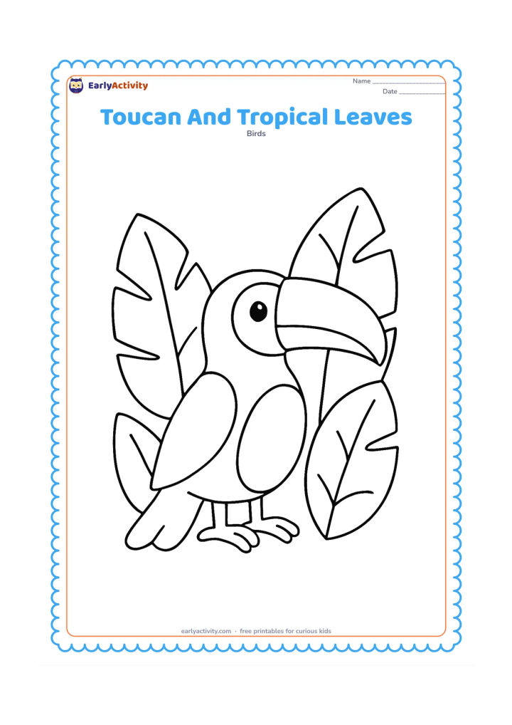Colouring page: A cheerful toucan stands beside three oversized tropical leaves, with its bill pointing toward one leaf. Arrange the bird in the centre and use broad leaf shapes to frame both sides.