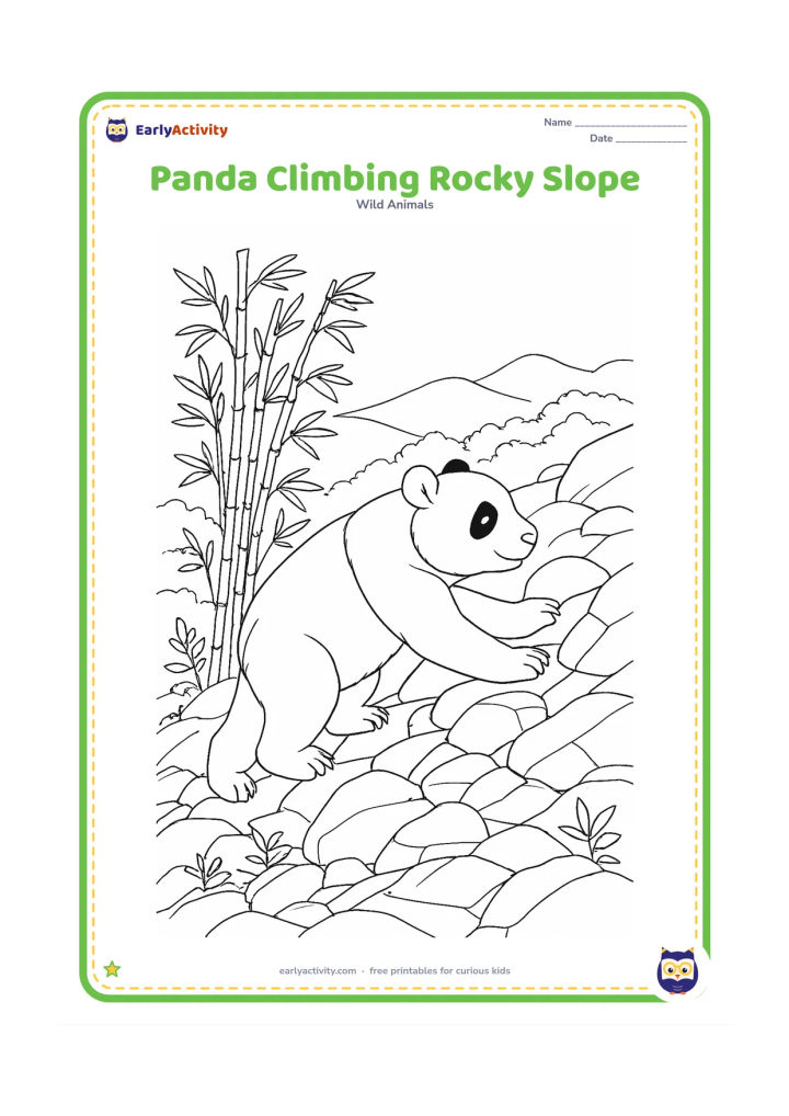 Colouring page: Draw a panda carefully climbing a rocky mountain slope toward a bamboo patch. Include overlapping stones, roots, small plants and distant forested hills.