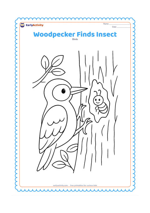 Colouring page: A woodpecker pecks at a loosened section of bark while a small friendly insect is visible in the opening. Show the bird's claws gripping the trunk, with branches and leaves behind.