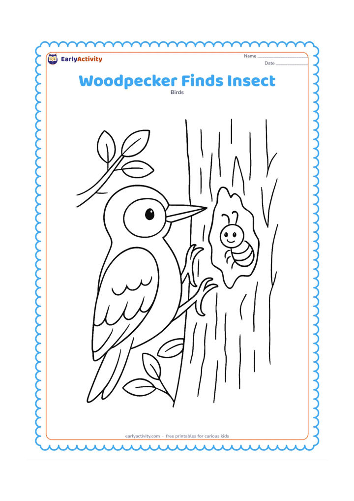 Colouring page: A woodpecker pecks at a loosened section of bark while a small friendly insect is visible in the opening. Show the bird's claws gripping the trunk, with branches and leaves behind.