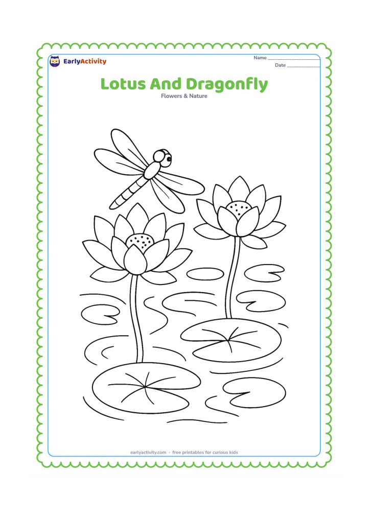 Colouring page: Draw two lotus blooms and several floating leaves in a pond while a dragonfly rests on one flower. Include curved stems below the water and a few natural ripples.