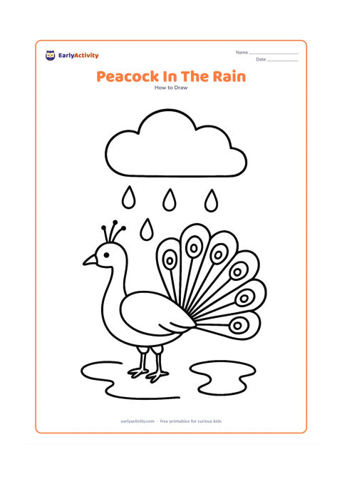 Worksheet: A peacock with its fan tail raised beneath one large cloud, with a few widely spaced raindrops and two puddle curves on the ground. The bird faces left with its neck gently curved.
