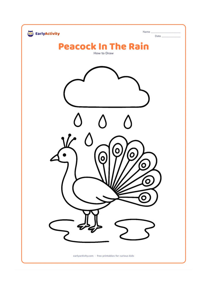 Worksheet: A peacock with its fan tail raised beneath one large cloud, with a few widely spaced raindrops and two puddle curves on the ground. The bird faces left with its neck gently curved.