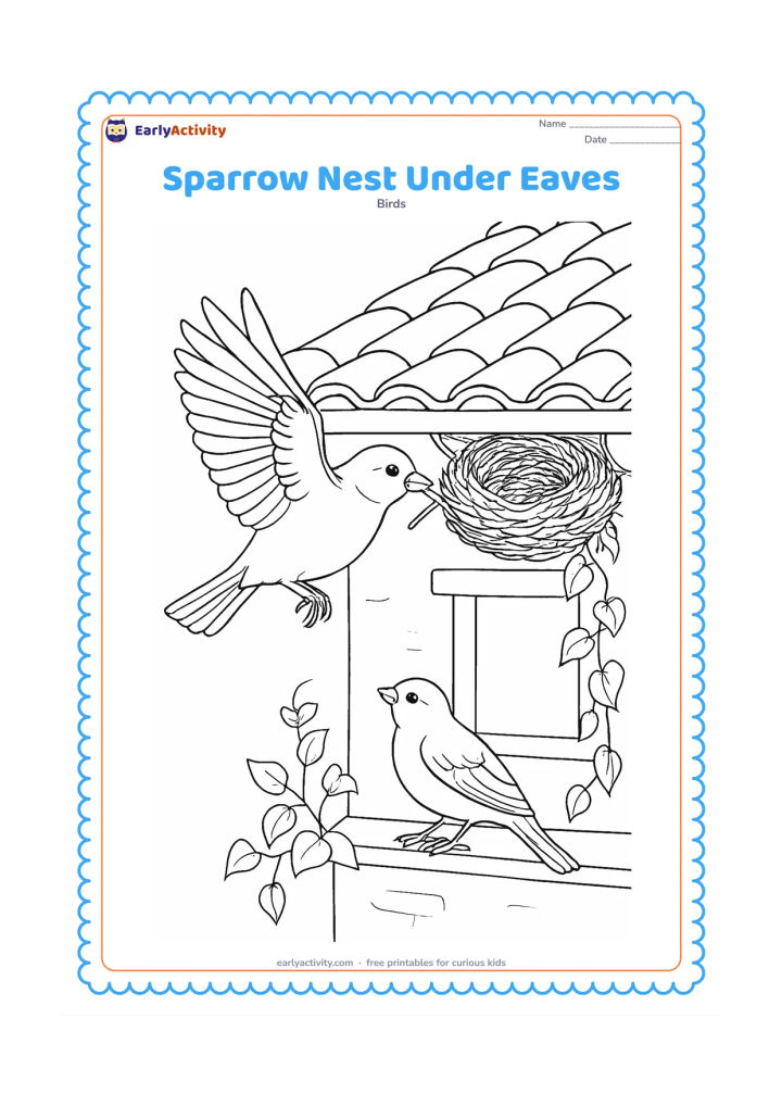 Colouring page: Draw an adult sparrow carrying a small twig toward a nest tucked beneath the eaves of an Indian house. Show the nest, roof tiles, a wall opening, trailing vines, and a second sparrow…