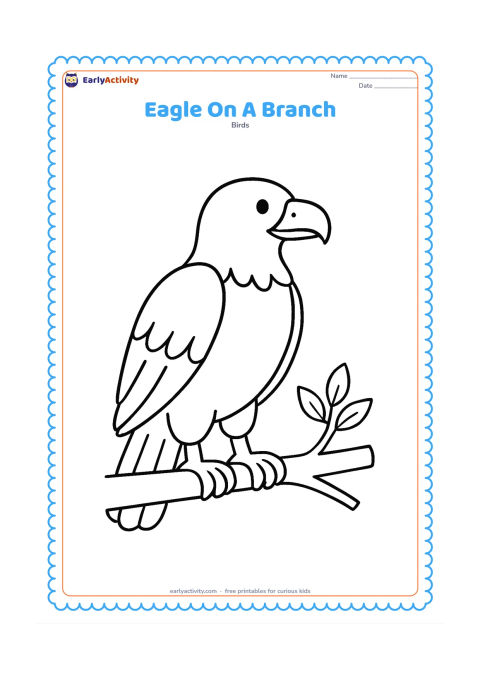 Colouring page: Draw a full eagle standing on one thick horizontal branch, facing right, with two clear feet and a short leafy twig nearby. Keep the background almost empty.