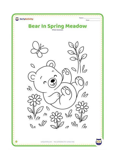 Colouring page: A bear cub rolls playfully in a spring meadow filled with simple daisies, butterflies, young leaves, and a small woodland tree.