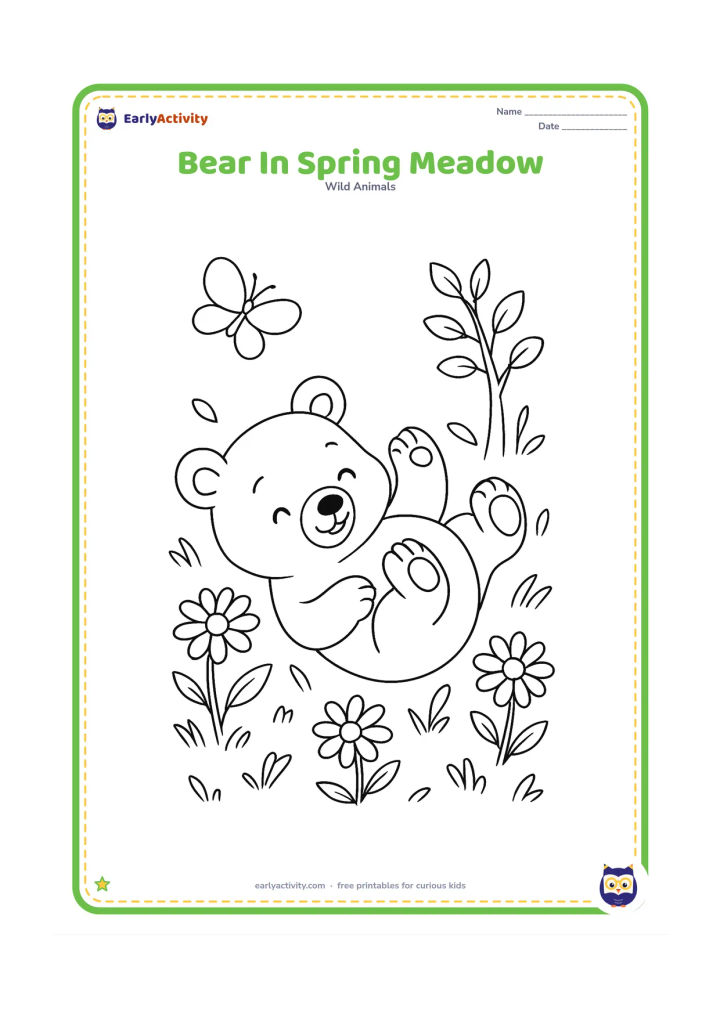 Colouring page: A bear cub rolls playfully in a spring meadow filled with simple daisies, butterflies, young leaves, and a small woodland tree.