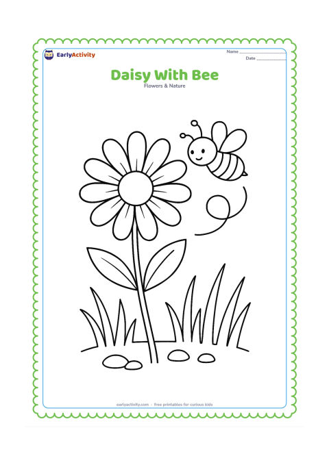 Colouring page: Draw a daisy in full bloom with a bee hovering near its yellow centre. Add a curling flight path, two leaves, tall grass and a few small garden stones.