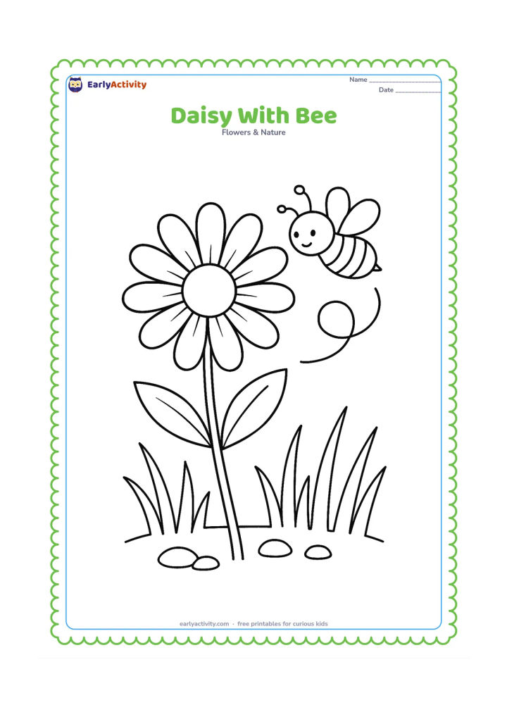 Colouring page: Draw a daisy in full bloom with a bee hovering near its yellow centre. Add a curling flight path, two leaves, tall grass and a few small garden stones.