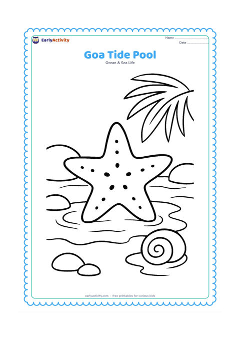 Colouring page: Draw a large starfish in a shallow Indian beach tide pool, with rounded coastal rocks, a shell and a simple palm leaf at the edge.