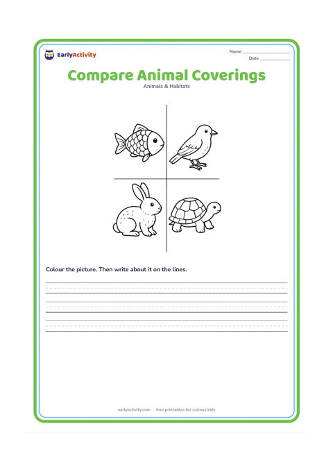 Worksheet: Arrange a fish with scales, a bird with feathers, a rabbit with fur and a turtle with a shell in four separate panels. Show each animal in a calm side view with its covering clearly visible.