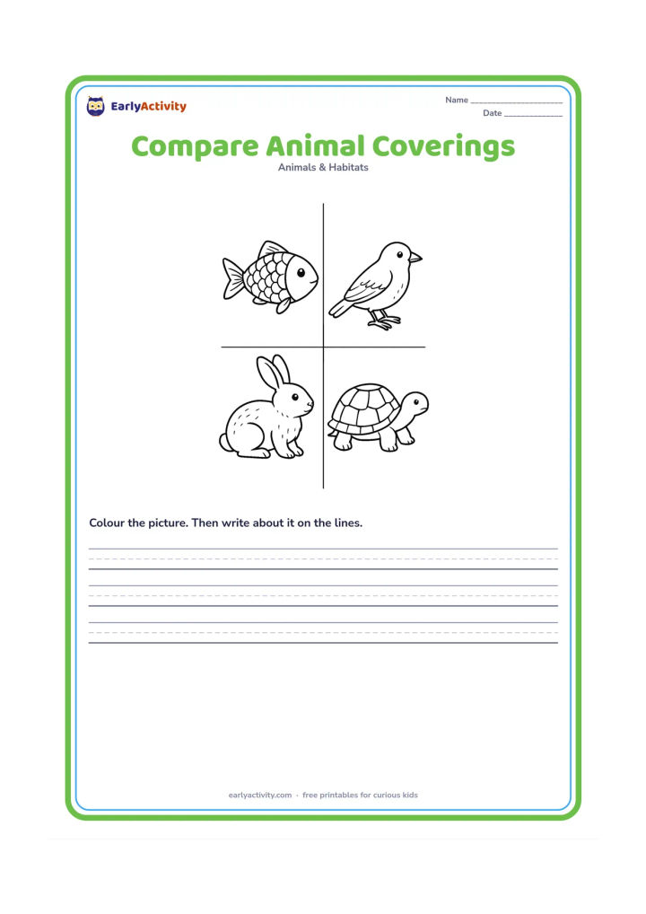 Worksheet: Arrange a fish with scales, a bird with feathers, a rabbit with fur and a turtle with a shell in four separate panels. Show each animal in a calm side view with its covering clearly visible.