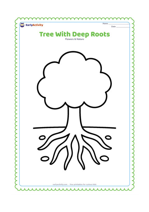 Colouring page: Draw a simple tree shown above and below a horizontal soil line, with a thick trunk, rounded leafy crown, and several large roots spreading underneath. Add only a few stones in the soil.