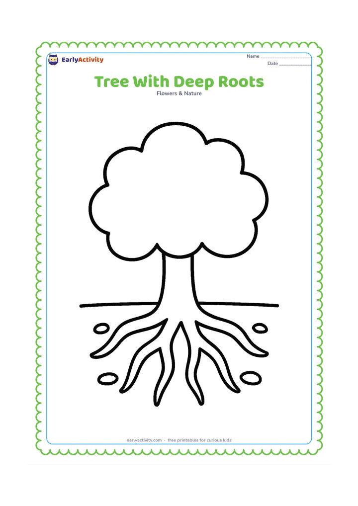 Colouring page: Draw a simple tree shown above and below a horizontal soil line, with a thick trunk, rounded leafy crown, and several large roots spreading underneath. Add only a few stones in the soil.