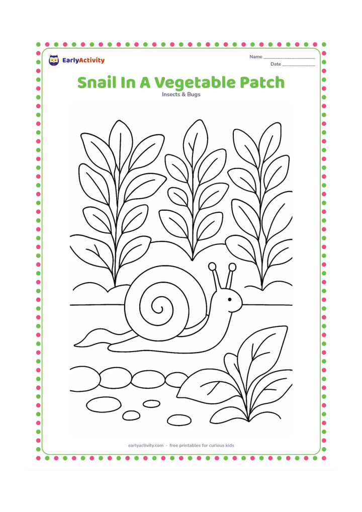 Colouring page: Draw a snail travelling between rows of broad leafy garden plants, with a few large leaves, a small stone border and a visible trail. The scene should feel like a home garden.