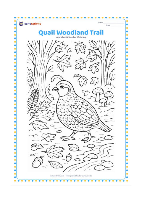 Colouring page: A quail walks along a woodland trail in autumn with fallen leaves around its feet. Include textured tree trunks, mushrooms, acorns, ferns, and a small stream crossed by stones.