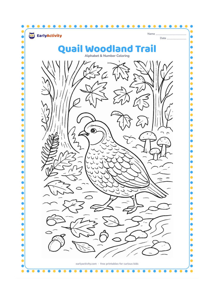 Colouring page: A quail walks along a woodland trail in autumn with fallen leaves around its feet. Include textured tree trunks, mushrooms, acorns, ferns, and a small stream crossed by stones.