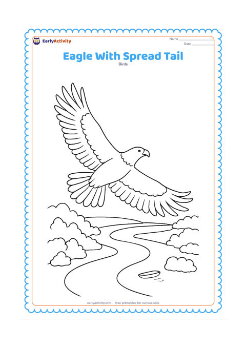 Colouring page: Draw an eagle gliding away from the viewer with its wings spread and tail feathers fanned wide. Below it are a river bend, tree clusters and a tiny boat with no people or markings.