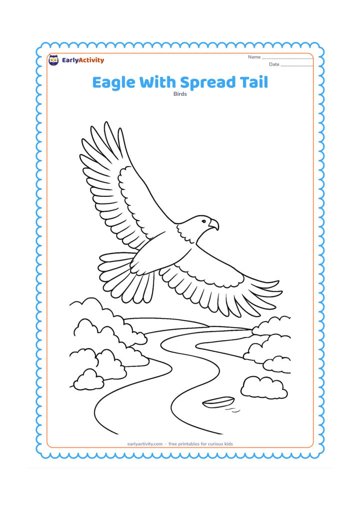 Colouring page: Draw an eagle gliding away from the viewer with its wings spread and tail feathers fanned wide. Below it are a river bend, tree clusters and a tiny boat with no people or markings.