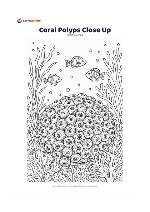 Colouring page: A close view of a coral colony fills the lower half of the page, with many rounded coral polyp forms, small reef fish, seaweed and bubbles in the surrounding water. Include several coral…
